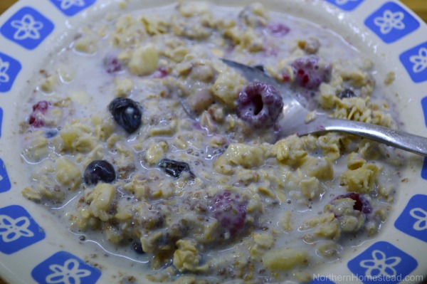 Oatmeal Porridge Recipe