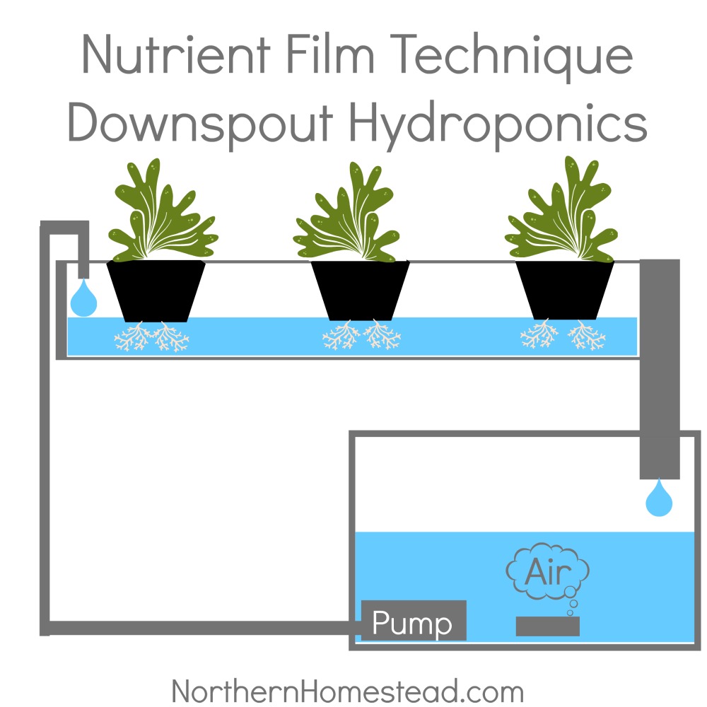 N.F.T. (Nutrient Film Technique) Downspout Hydroponics