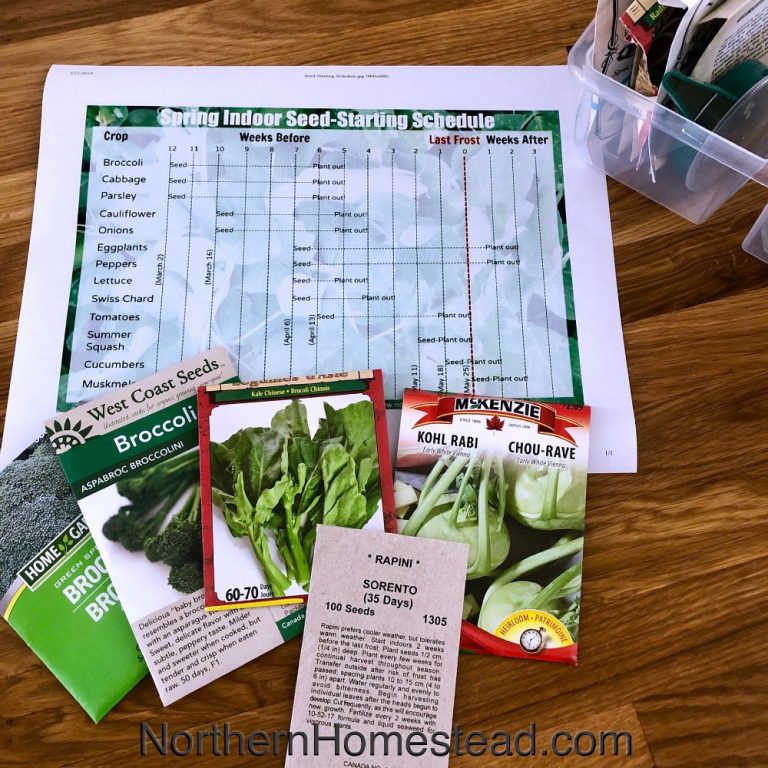 Spring Indoor Seed-Starting Schedule - Free Printable - Northern Homestead