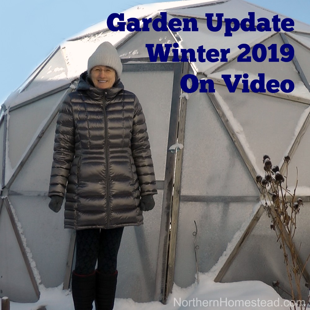 Garden Update - Winter 2019 on video