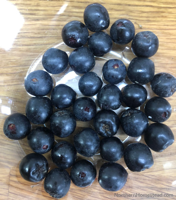 Aronia Berries