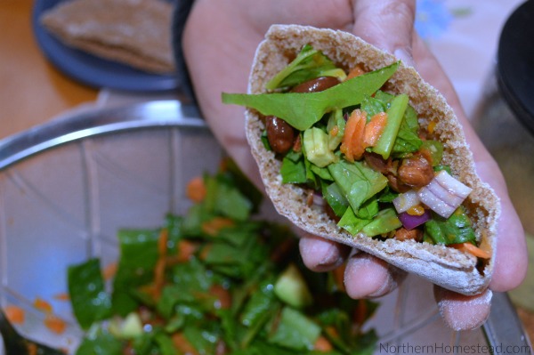 Whole Wheat Pita Bread Recipe