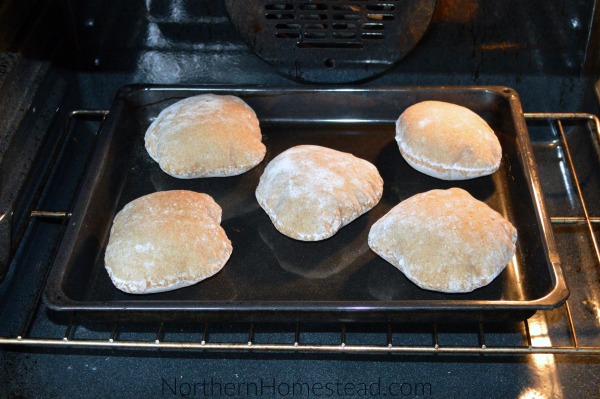 Whole Wheat Pita Bread Recipe