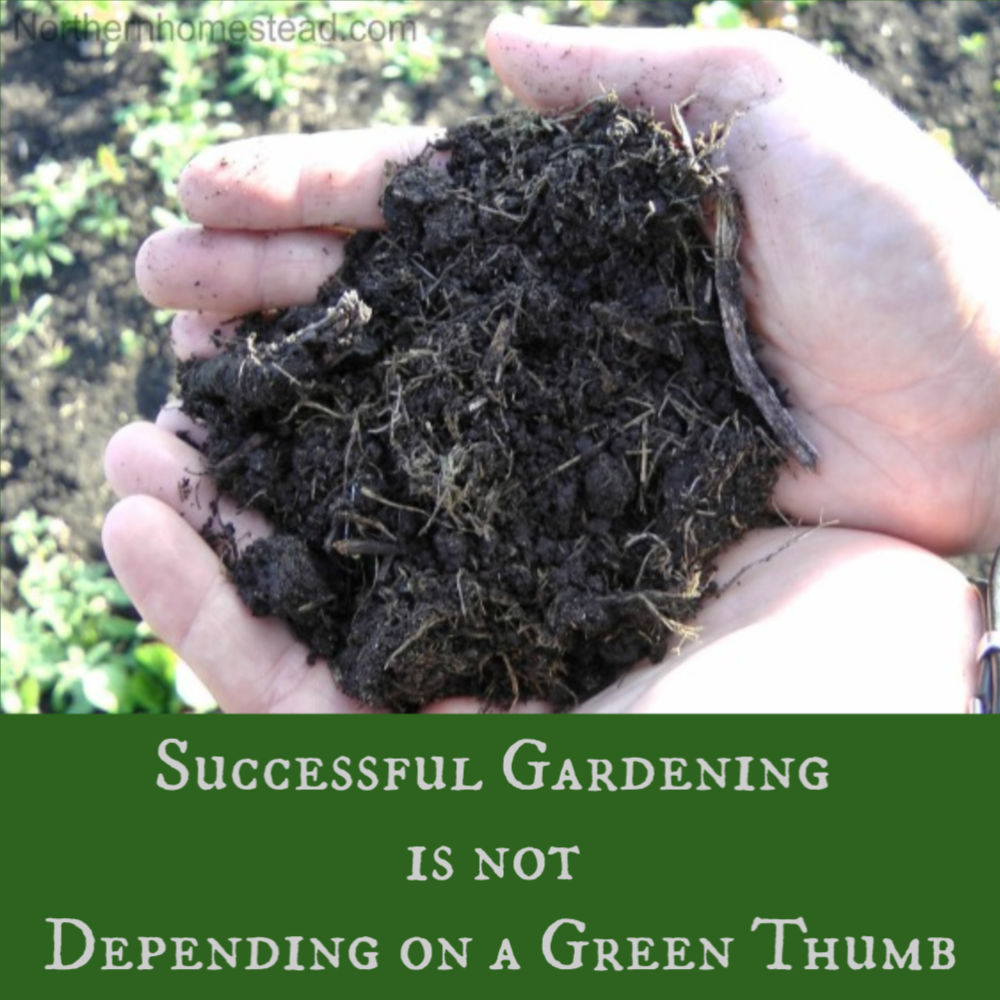 Successful Gardening is not Depending on a Green Thumb