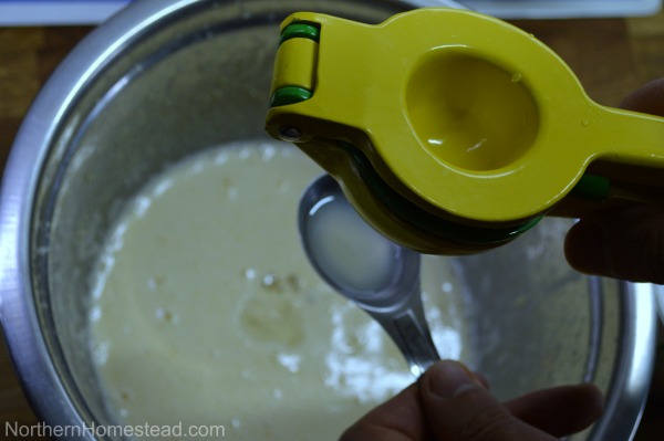 Chickpea Flour Waffles Recipe