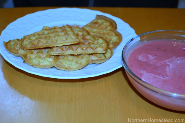 Chickpea Flour Waffles Recipe