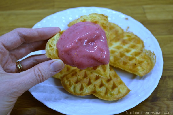 Chickpea Flour Waffles Recipe