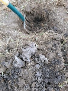 To Till or Not to Till the Garden for Better Soil - Northern Homestead