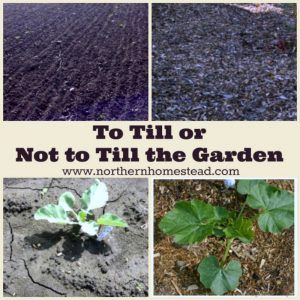To till or not to till the garden