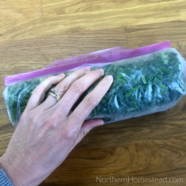 How to Freeze Herbs