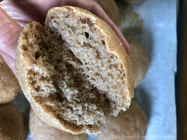 Whole Grain Dinner Buns Recipe