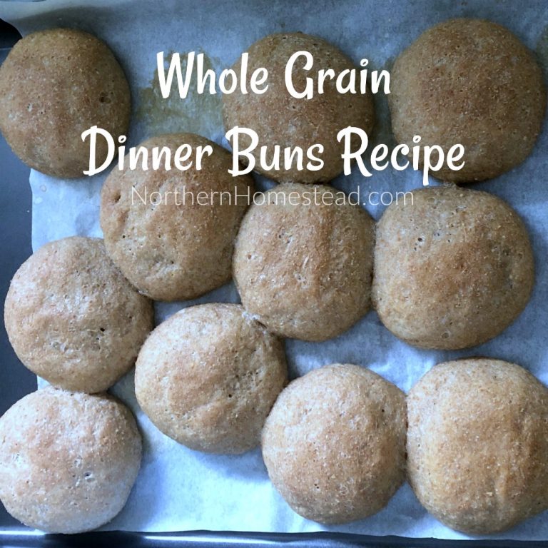 Whole Grain Dinner Buns Recipe (Vegan) Northern Homestead