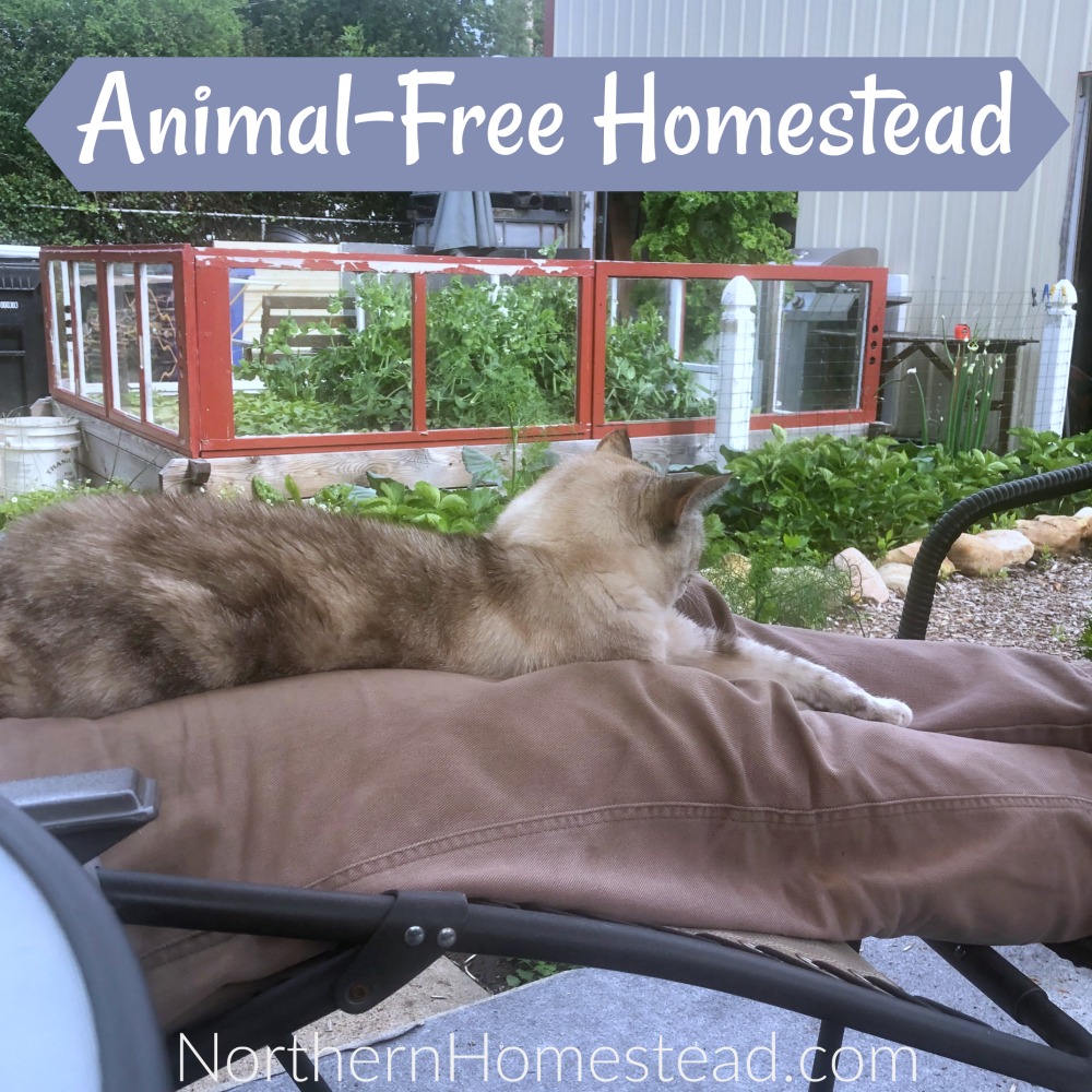 Animal-Free Homestead.com