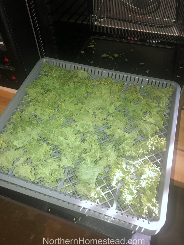 Dehydrating Greens