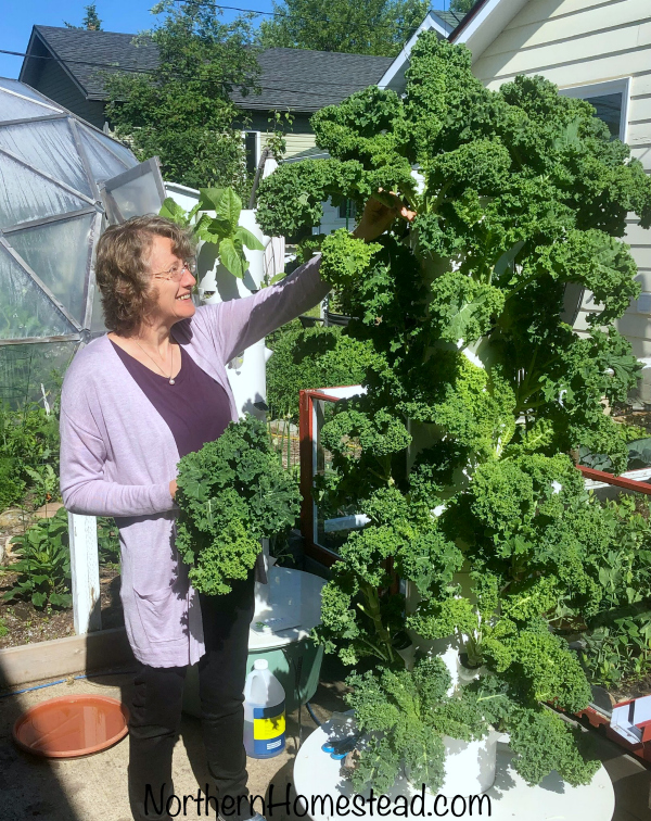 Kale Tower Garden