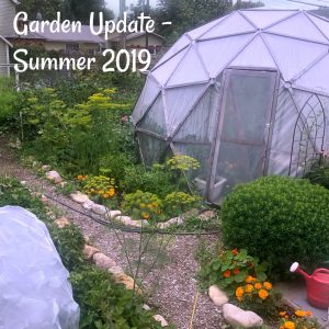 garden update - summer 2019