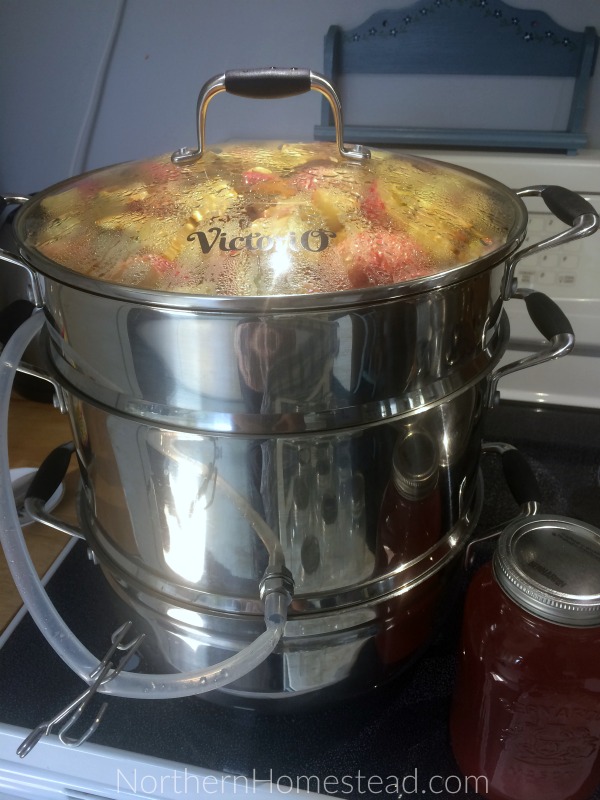 A Dozen Ways to Preserve Apples - Apple Juice