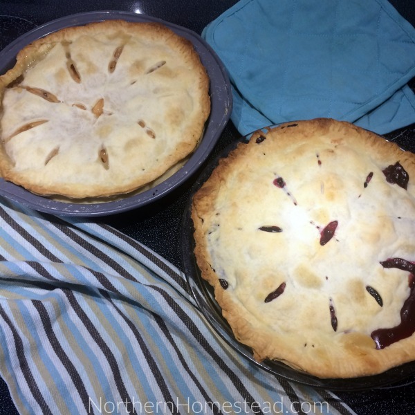 A Dozen Ways to Preserve Apples - Apple pie filling