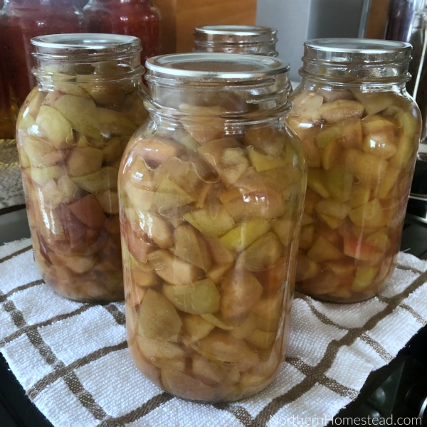 A Dozen Ways to Preserve Apples - Canned Apples