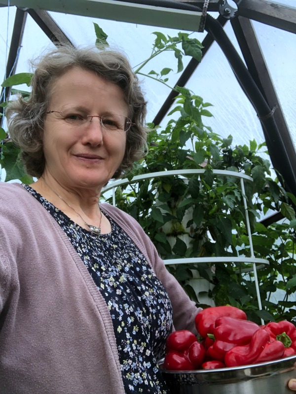 Growing Peppers in Cold Climate