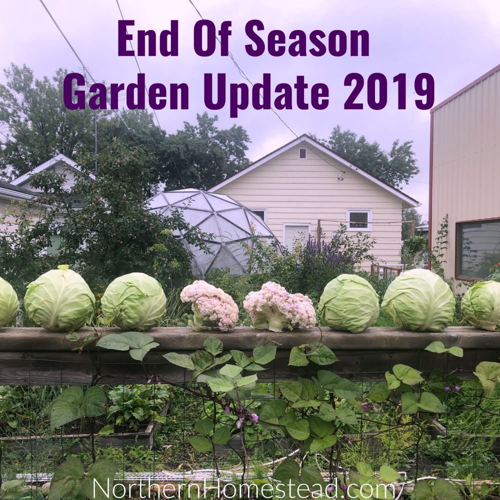 End Of Season – Garden Update 2019