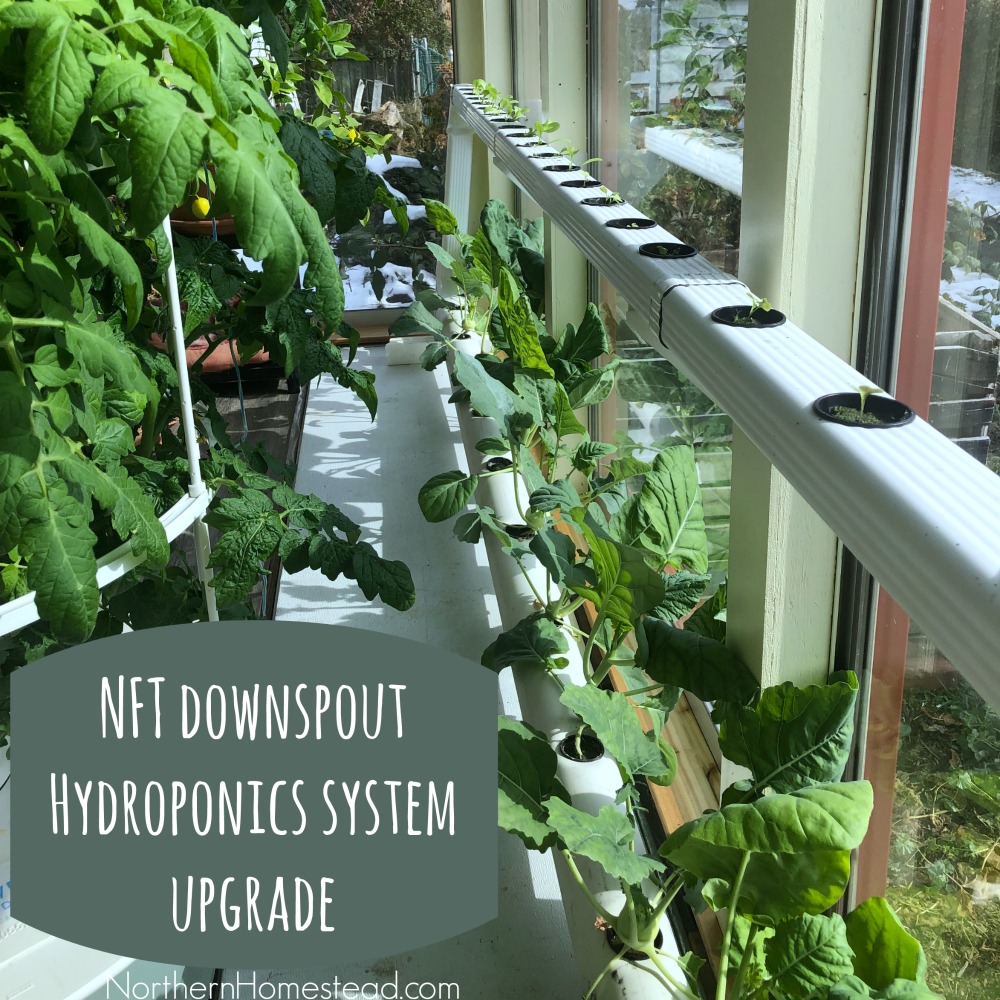 NFT downspout Hydroponics system upgrade