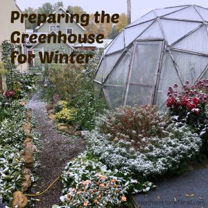 Preparing the greenhouse for winter is as important as preparing the garden. However, it still is different. We share how we prepare our geodesic dome greenhouse.