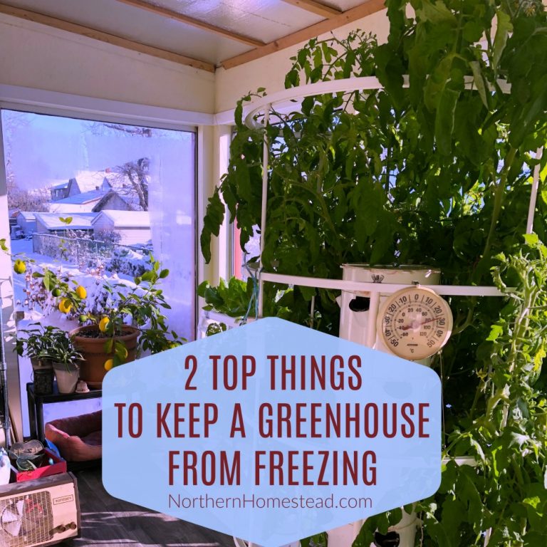 2 Top Things to Keep a Greenhouse From Freezing Northern Homestead