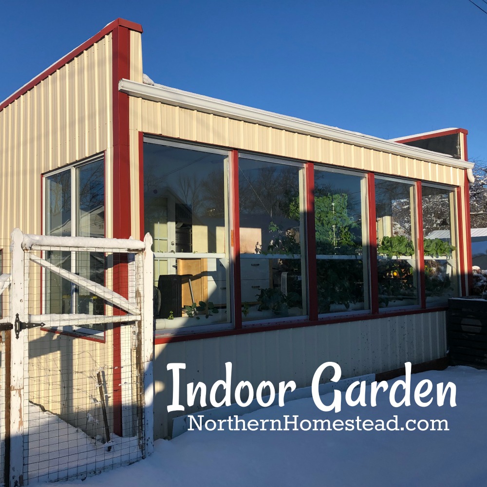Indoor garden update fall/winter 2019. See our newly renovated indoor garden at the back of our old garage. It's a four-season growing room.