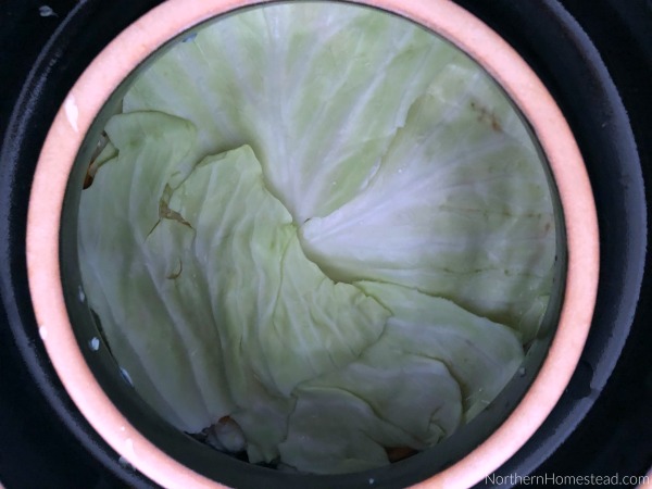 Using a Water-Sealed Fermentation Crockpot - How to make sauerkraut