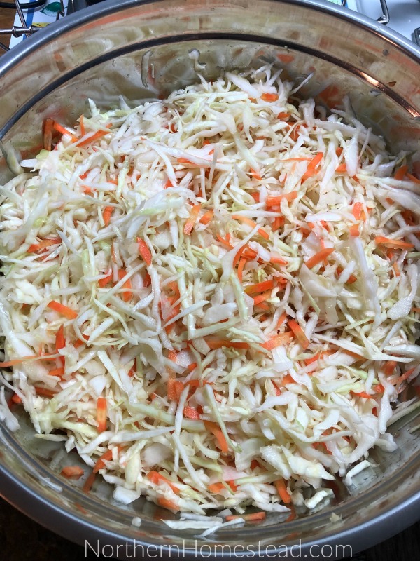 How to make sauerkraut using a water-sealed fermentation crock