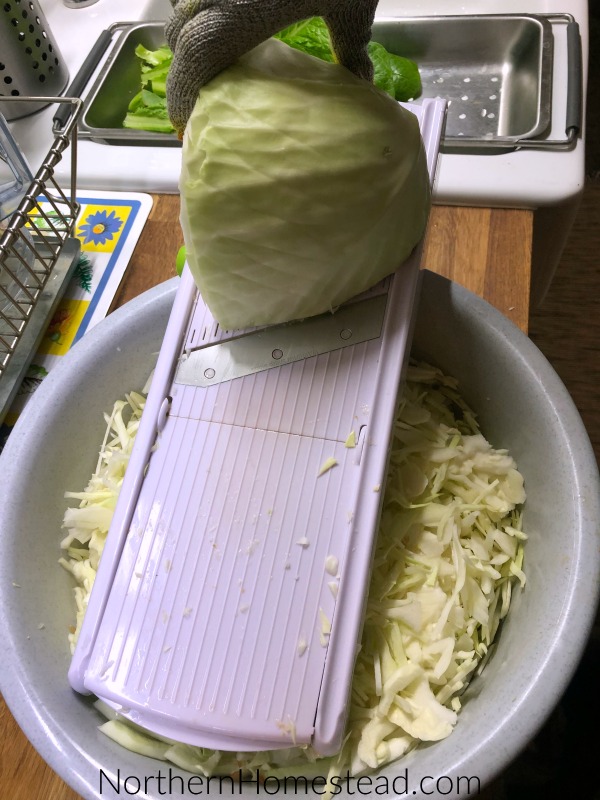 Using a Water-Sealed Fermentation Crockpot - How to make sauerkraut