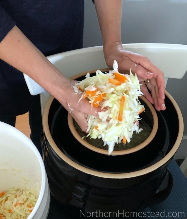 Using a Water-Sealed Fermentation Crockpot - How to make sauerkraut