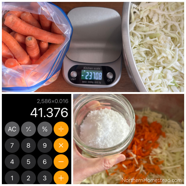 How to make sauerkraut using a water-sealed fermentation crock