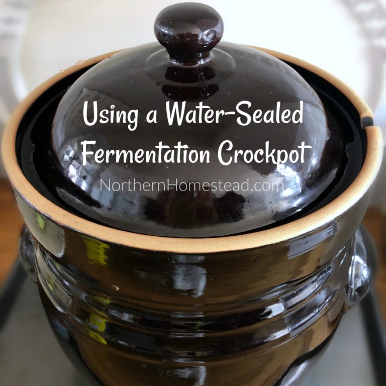 Using a WaterSealed Fermentation Crockpot Northern Homestead