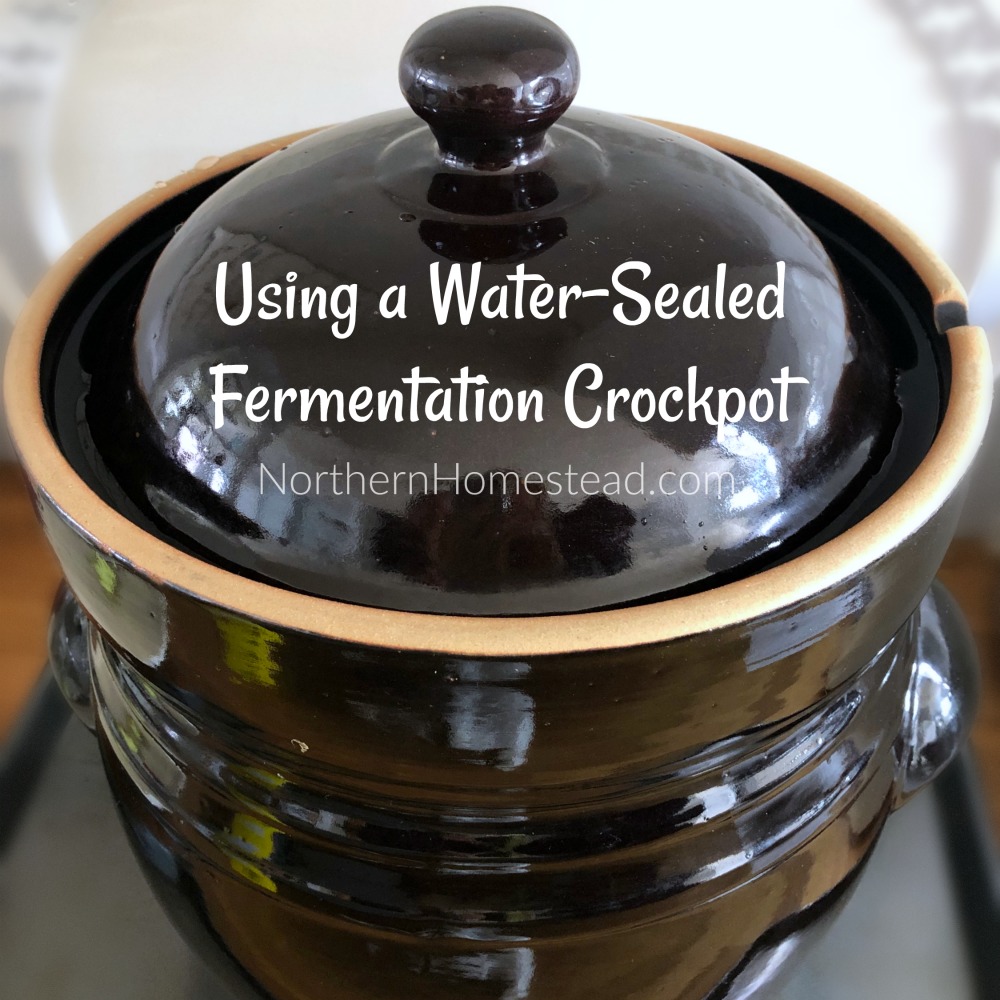 Using A Water Sealed Fermentation Crockpot Northern Homestead