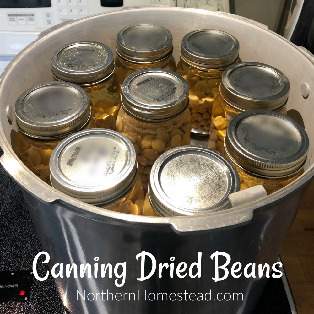 Canning dried beans on a glass cooktop