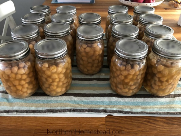 Canning dried beans on a glass cooktop