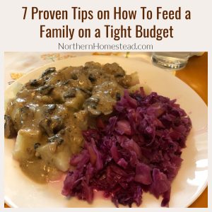 7 Proven Tips on How To Feed a Family on a Tight Budget