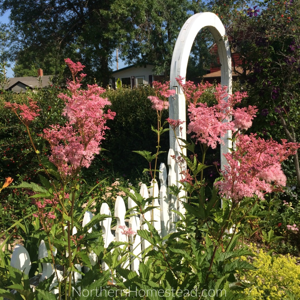 Turn a yard into a garden