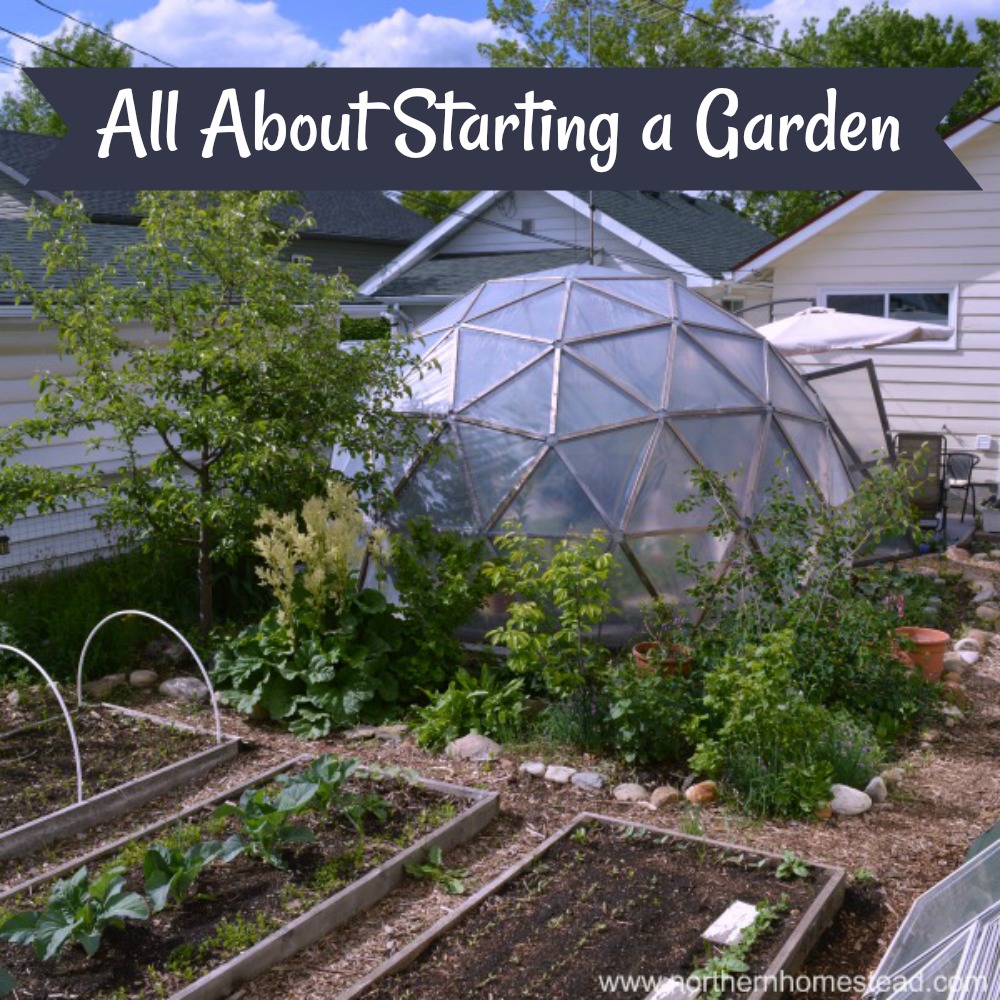 All about starting a garden