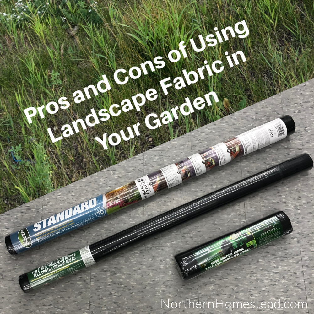 Pros and Cons of Using Landscape Fabric in Your Garden