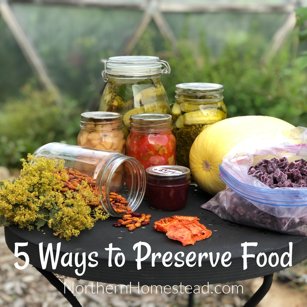 5 ways to preserve food