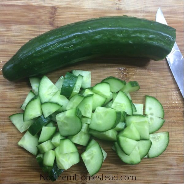 Growing Food - cucumbers