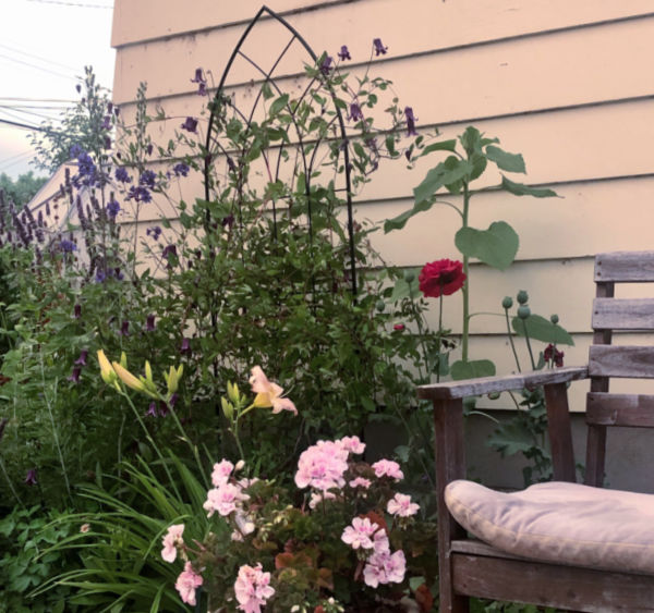 End of Season Garden Update 2020