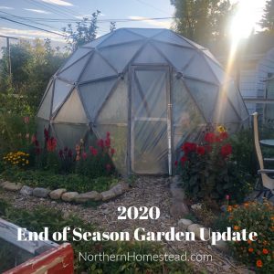 End of Season Garden Update 2020