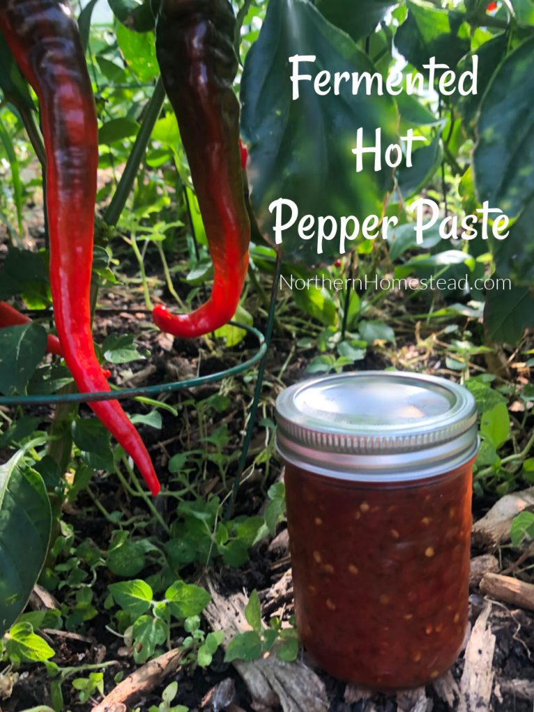 Fermented Hot Pepper Paste Northern Homestead