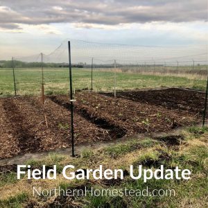 Update on the Field Garden