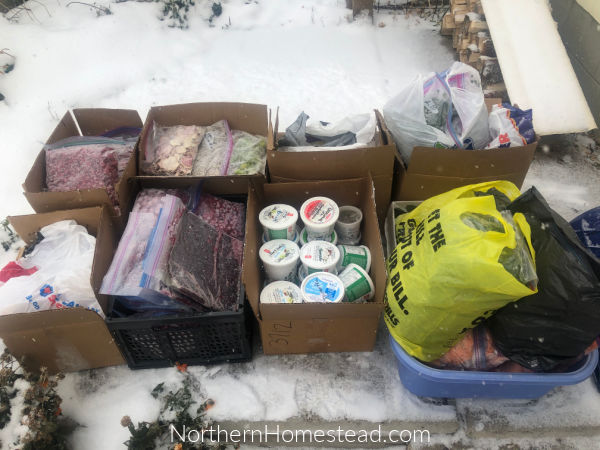 Organizing a chest freezer with plant food