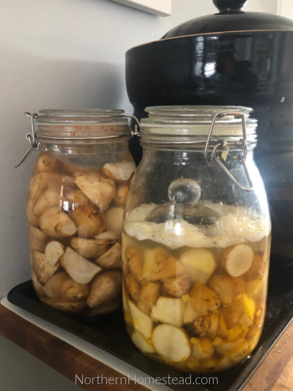 Growing and Using Sunchokes